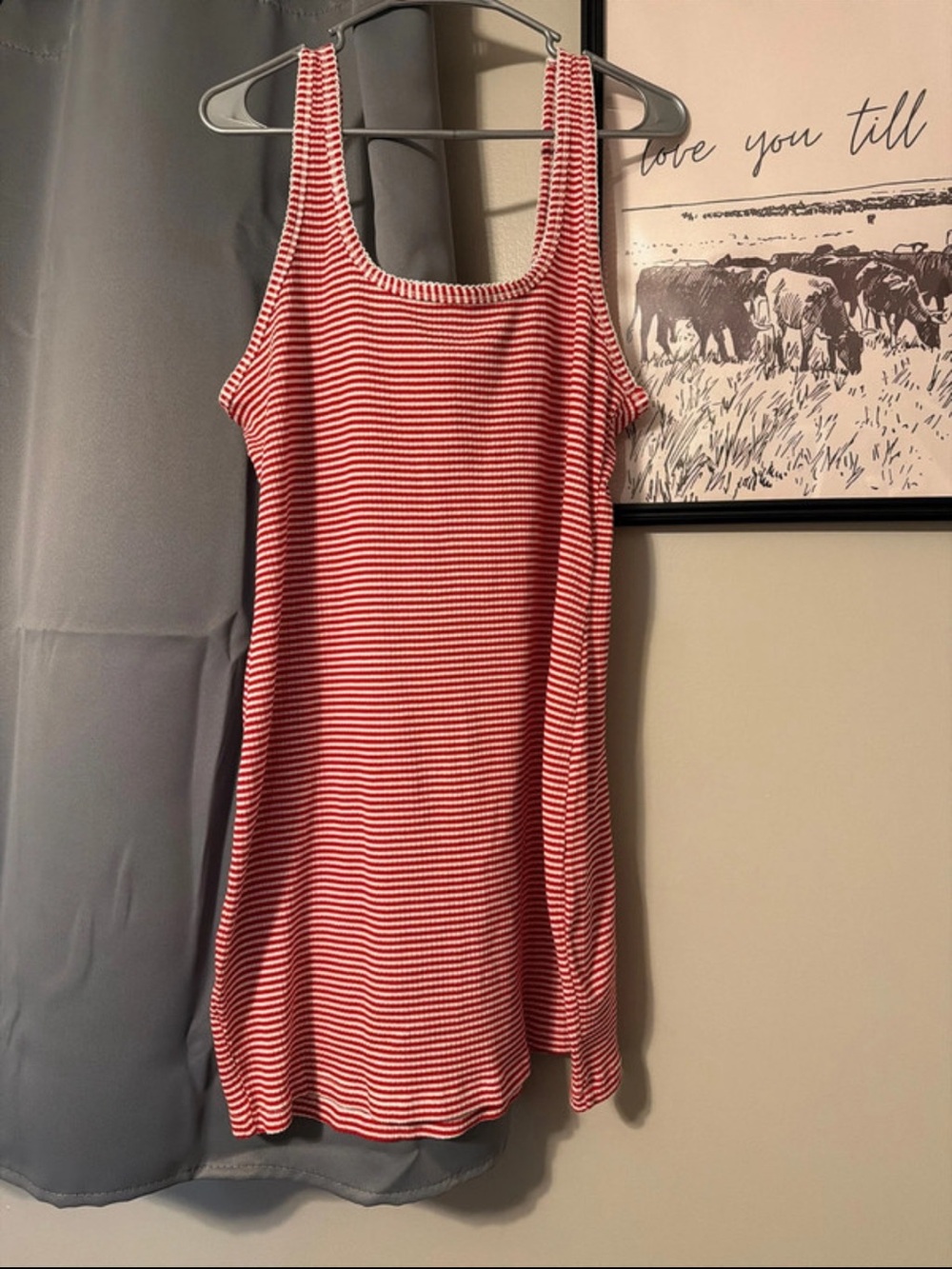 Universal Thread Red and White Striped Tank Top
